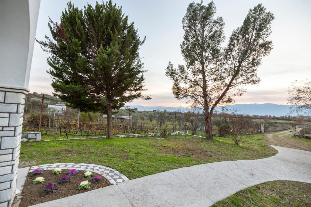 Τrικαλα - Μετεorα-Villa Toscana Tríkala Exteriér fotografie